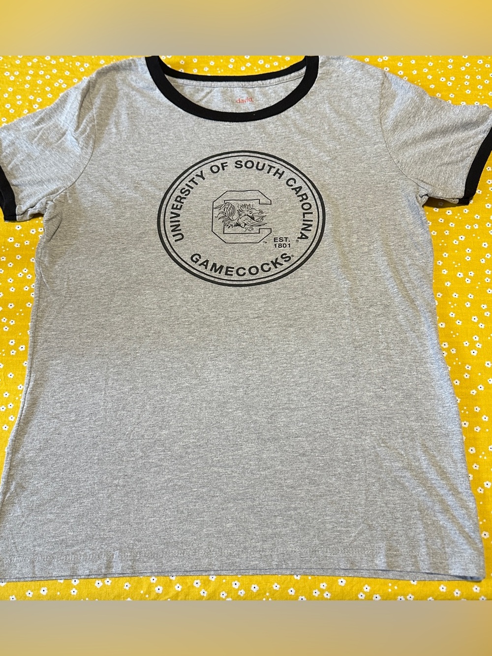 University of South Carolina Gamecocks Ringer Tee - Gray/Black